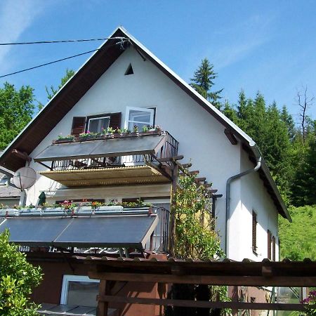 Riedl Gaestewohnung Klagenfurt am Woerthersee Kültér fotó