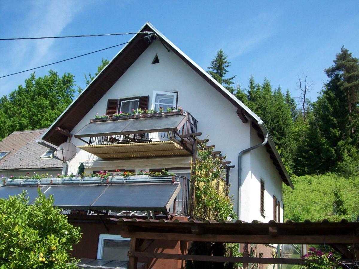 Riedl Gaestewohnung Klagenfurt am Woerthersee Kültér fotó